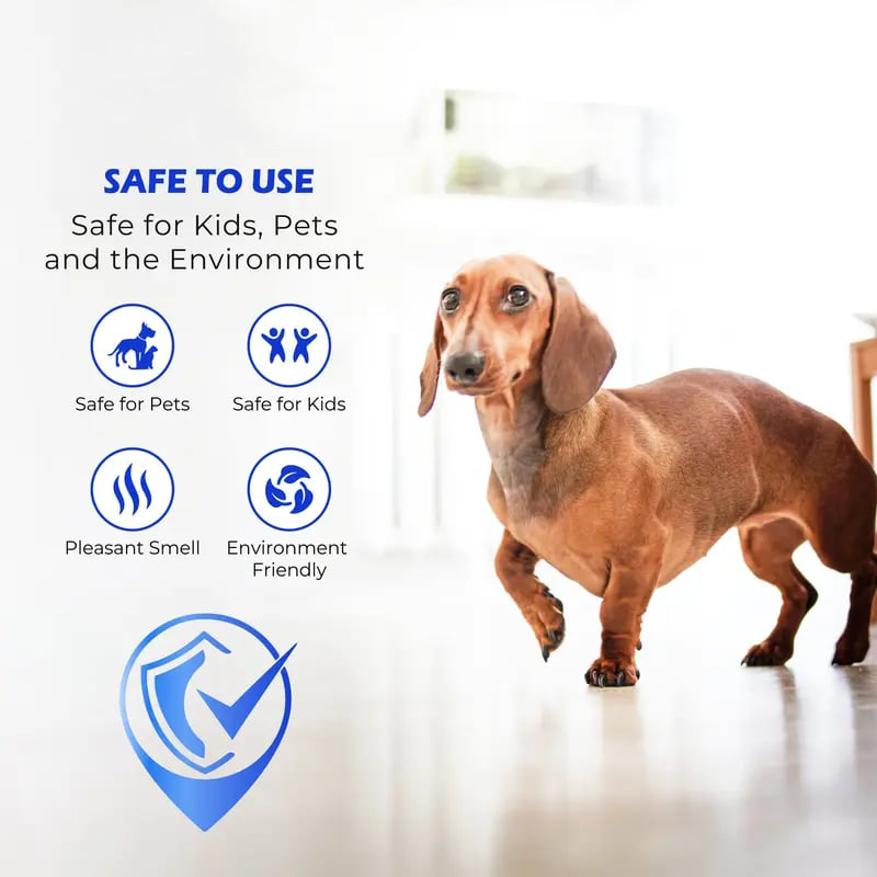 ✨🧴 CleanFloor Restorer – Shine & Protect Instantly 🏠