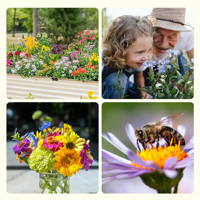 Edible Flower Seed Bank 2026 – 32 Non-GMO Varieties