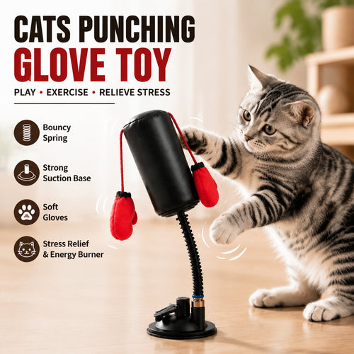 😹Last Day Promo: 49% OFF🥊Cats Punching Glove Toy - Make your little cat no longer bored