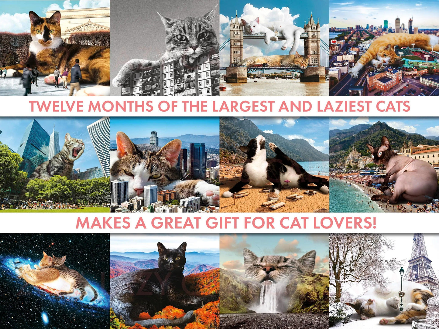 LAZY CATS 2026 CALENDAR