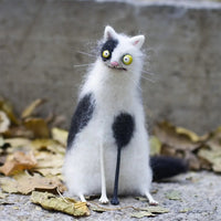 Seltsame Katze (⏰7 auf Lager)